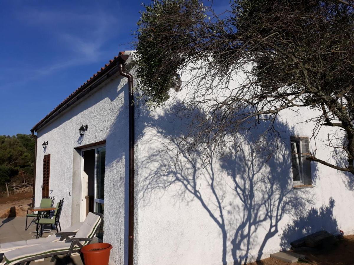 Alloggio Vacanze Palau Mauro Exterior foto